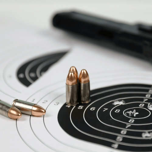 AccuShoot on Netcapital