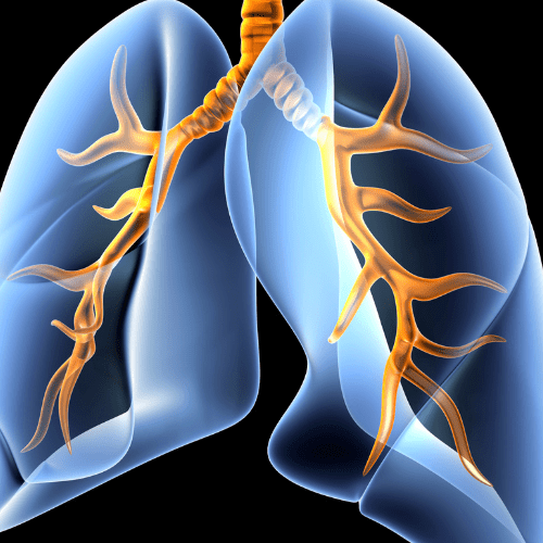 Cizzle Bio on&nbsp;DealMaker