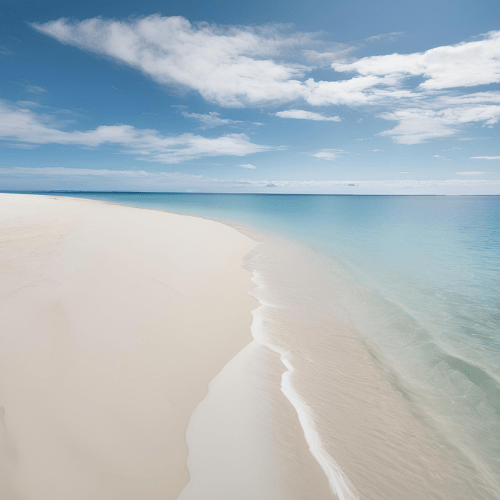 GOT BAG on&nbsp;Wefunder