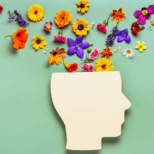 Halespring on Wefunder