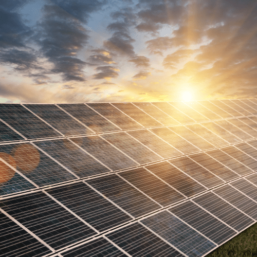 PVpallet on StartEngine