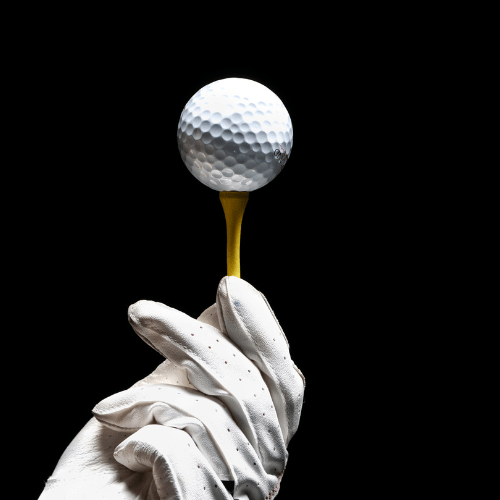 Royal Albartross on&nbsp;Wefunder