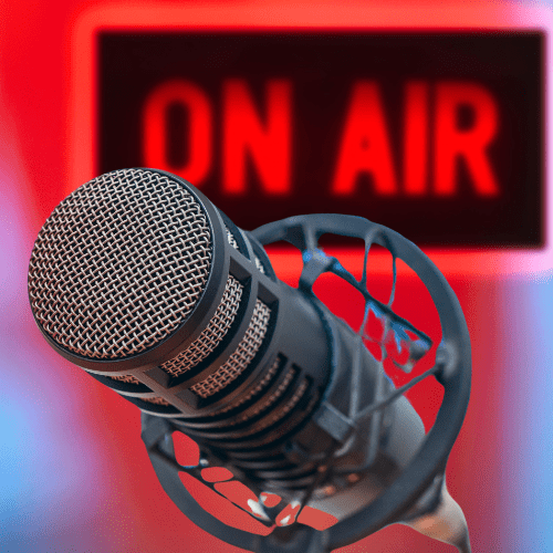 Sarasija on Wefunder