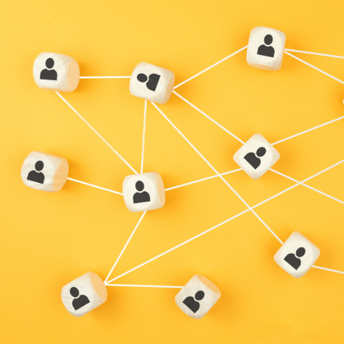 PloomSocial on Wefunder